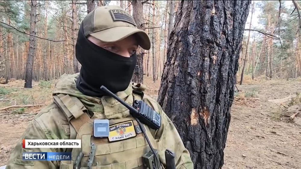 ������ ��������: ������ ���������� �� ��������� �����������