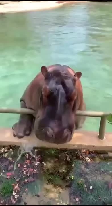 ������� ����������� ����! �������������� ���!