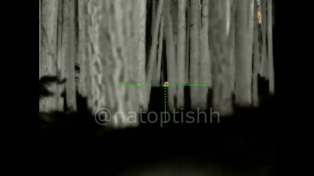 ��������� ��������� �� ���������� ��������� ������ �� ���������������� ������������� �������� ����������� �����