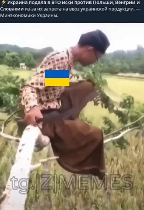 ���� �� �����, ������� ���������� �� �������