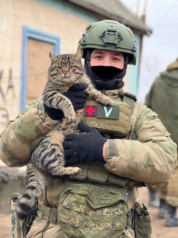 ������ ����! �������� ���. ������ � �������� �� �������: