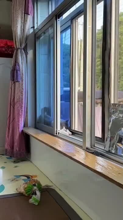 ������ ����! �� ������.. ������ � ��������: