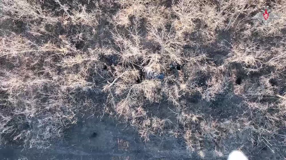 ���������������� ���� ���������� ������ ������: ���������� �������������� ���������������� ������������� � ���������� ���� ��������� �������� ������ � ���� ���