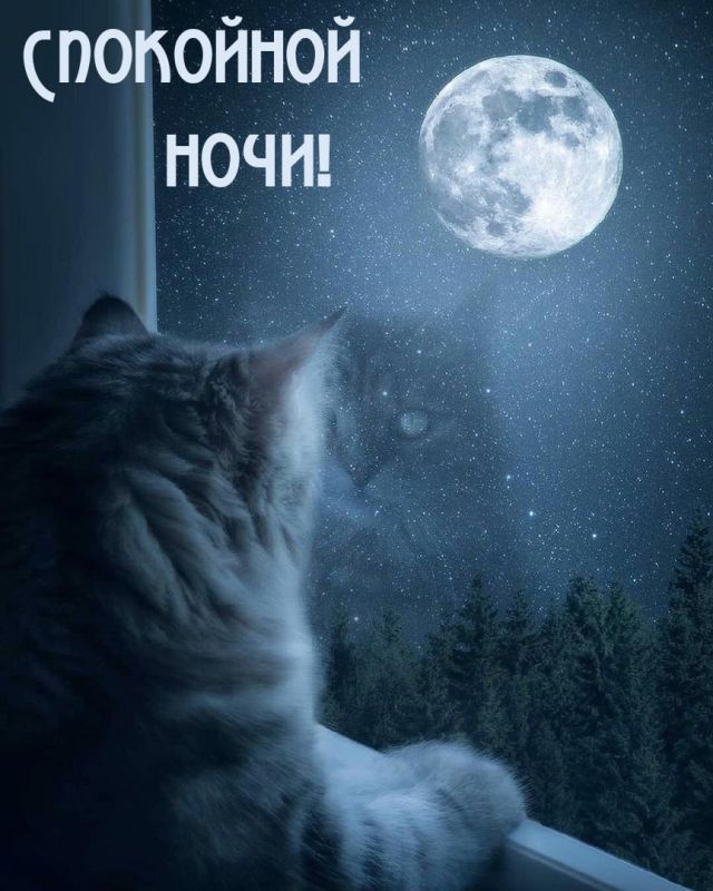 Доброй ночи, Дорогие подписчики!