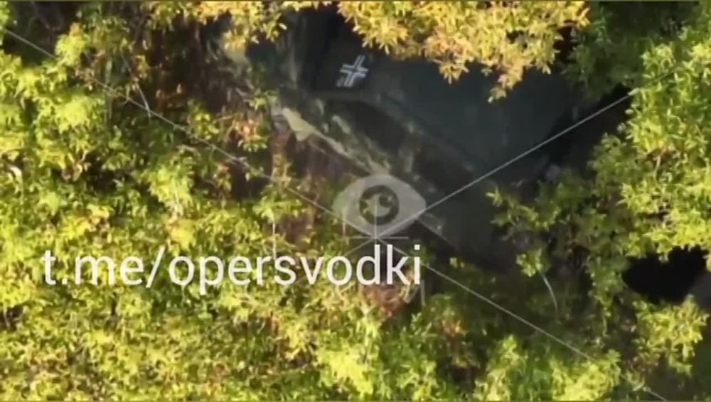 ����� ����������� ��������� �������