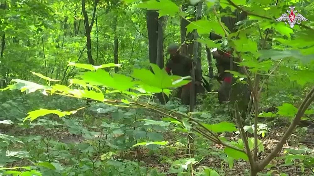 ������ ������ ������� ���� ��������-ѻ ���������� �������������� ������� ���