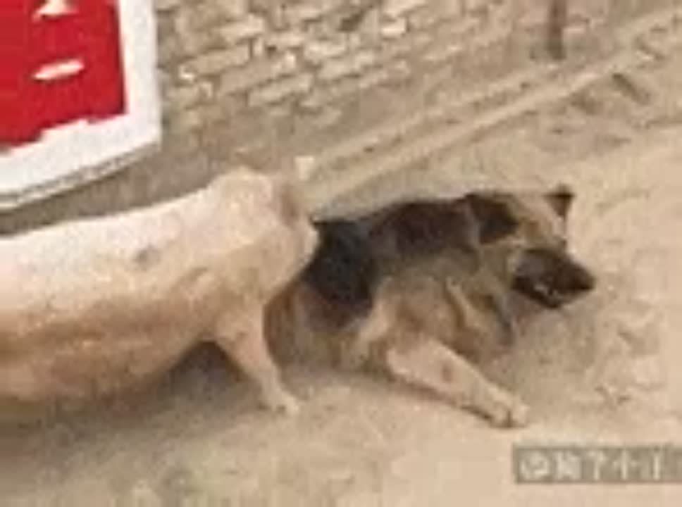 � ����� ������������ ���!..