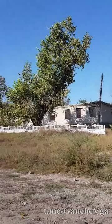 ������� ������: ���������������� ���� ������� ����� ����������� �������