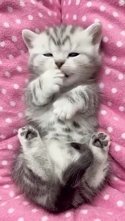 ������ ����, ������� ����������!