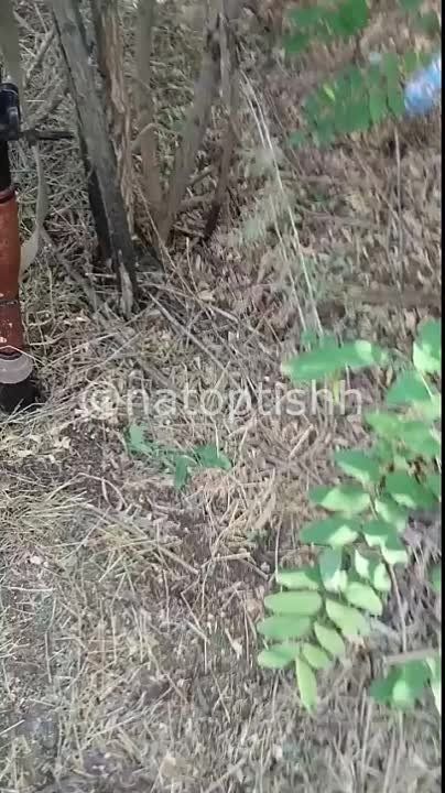 Кадры реального боя. Кадры, на которых солдаты группировки "Запад" ведут бой с боевиками на купянском направлении