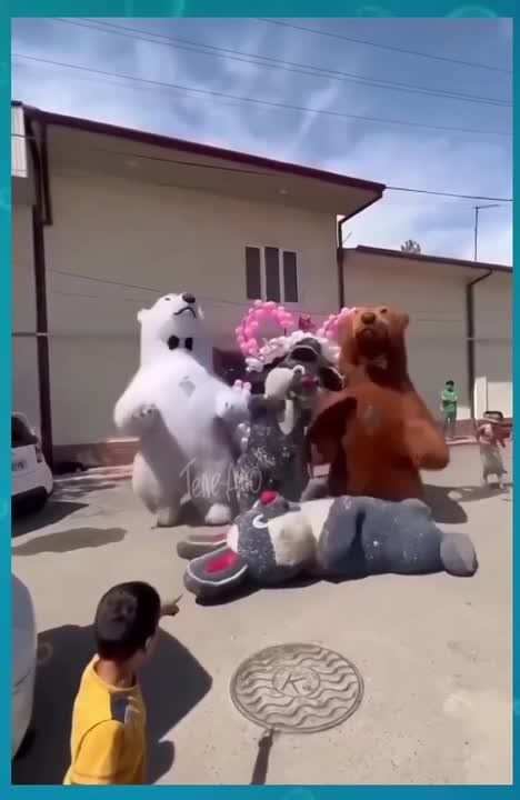 �������������� ���� �����������!