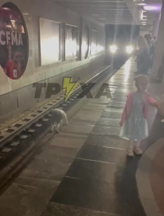 ������������ ����� ����� �� �������