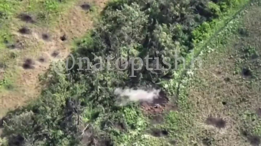 ��������� 1-�� �������� ����� �������� ����������� ����� ������� �������������� ����� ������� ���������� ����������� � ������ �.�. ������������� ���. ���������� 5 �������� ���