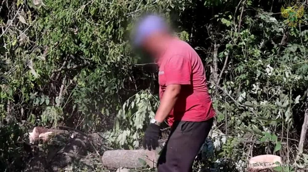 ��������� ���� �� ���������� ����������� ������� ������������