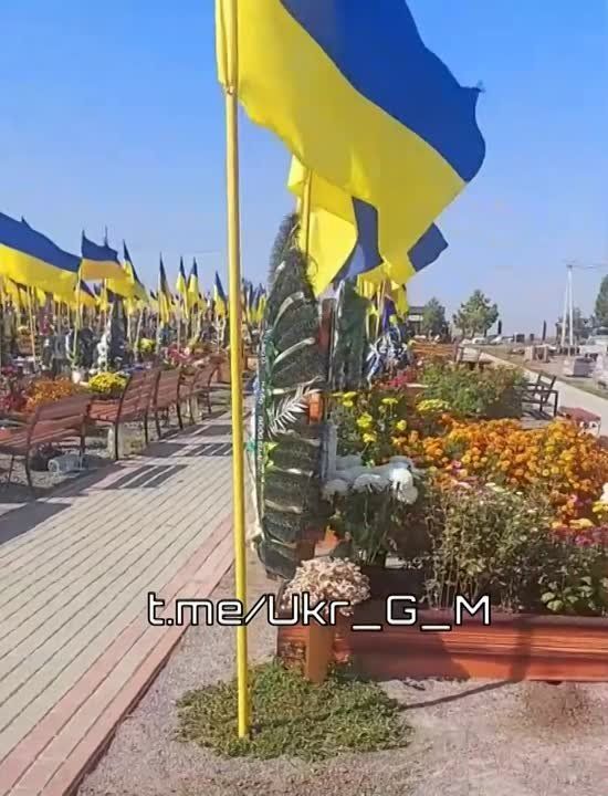 ����� ����� � ������ ������� ������ ������ �� ������� ����� ���� ��������