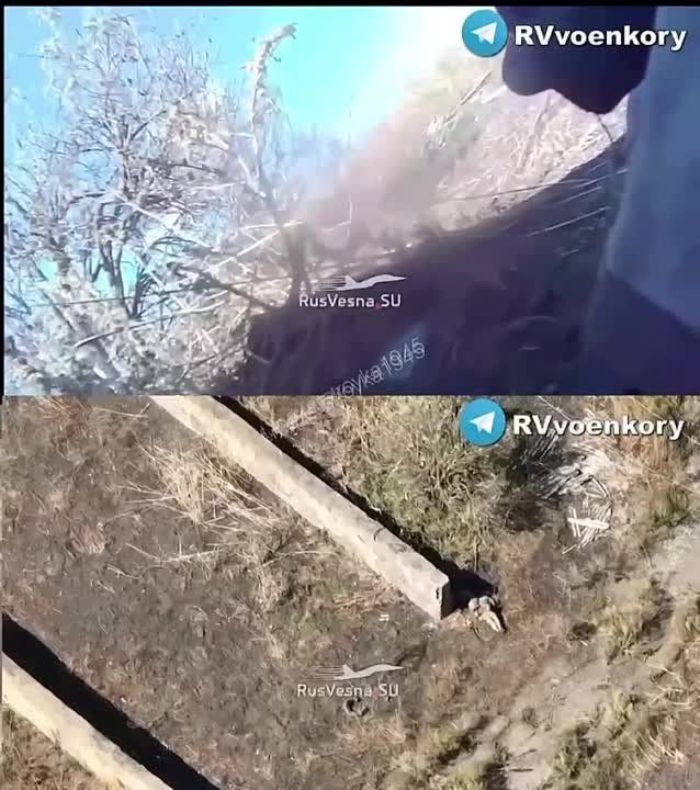 ����� ��������� ������ ����� ������