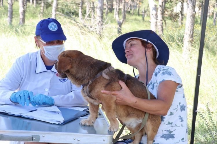 � ����������� 7 ������� ������� ���������� ����� � �����