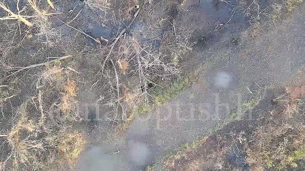 ����������� �������. ������ ������ �� ��������� ����� 6 ����� �������� ����������� �����: ���� ���������� ��������� �� ���� ���������� ��������, ��������� ���� ��������� ���������� �� ��� ����. � ����� ��������� ����� ������������ ������ � ��������