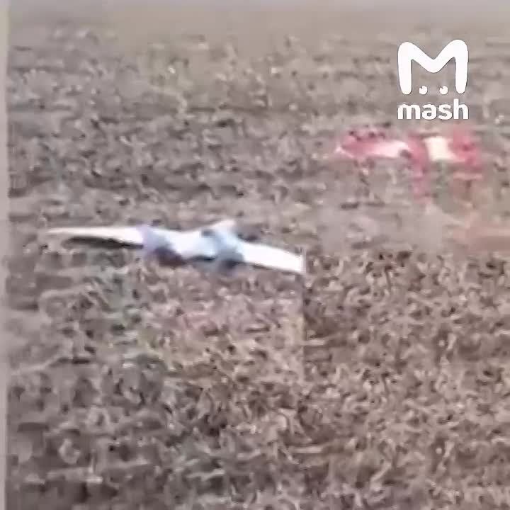 "����� ����������� ���������! ���, ��� ����, ������!"