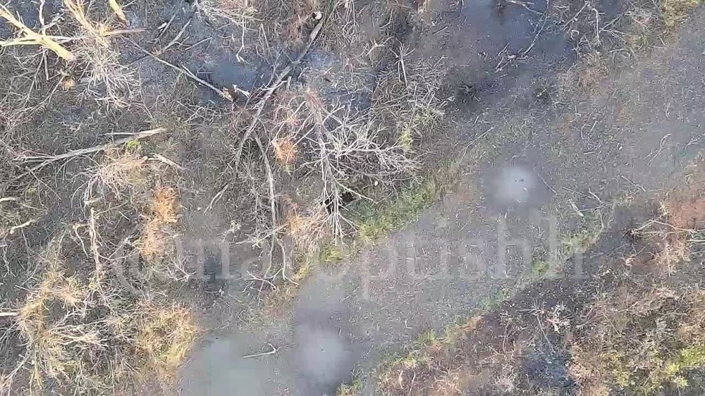 ������ ������ �������������� ���. ������ ������ �� ��������� ����� 6 ����� �������� ����������� �����: ���� ���������� ��������� �� ���� ���������� ��������, ��������� ���� ��������� ���������� �� ��� ����