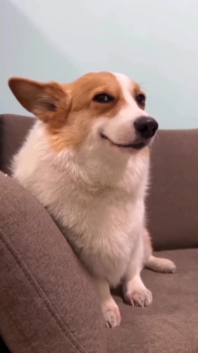 ������� ������������ ���. ������ � �������� �� �������: � �������� ���� ���� ����� ��������� ����� ������, � ������� �� ���� �������� ������