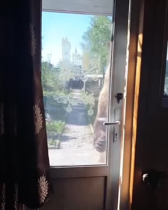 � ������ �����! ����� �����!