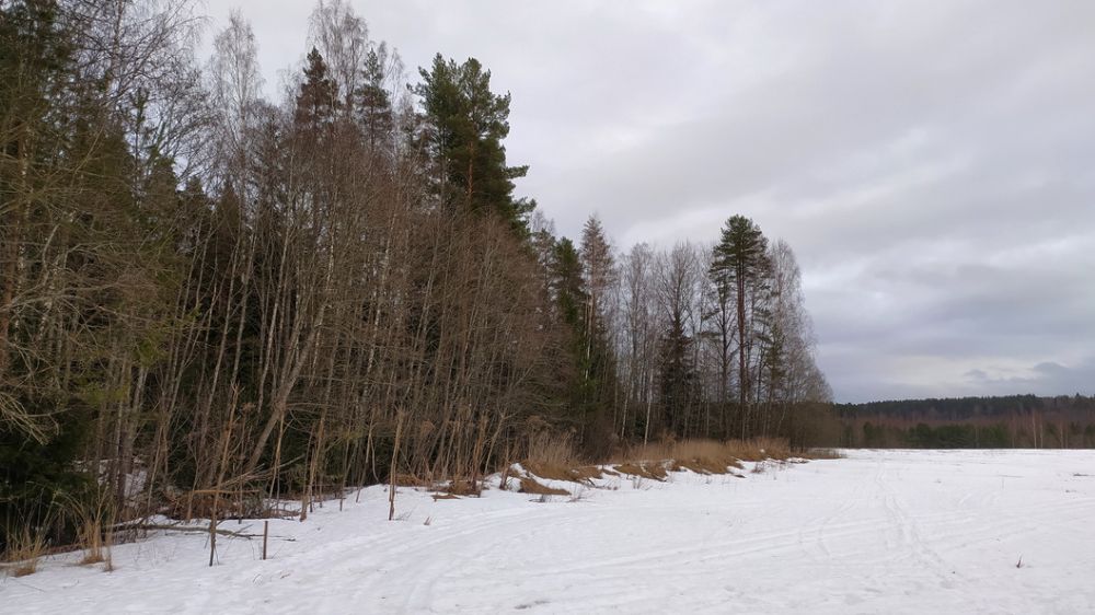 Зима близко: Киев меняет тактику – русские ловко приспосабливаются
