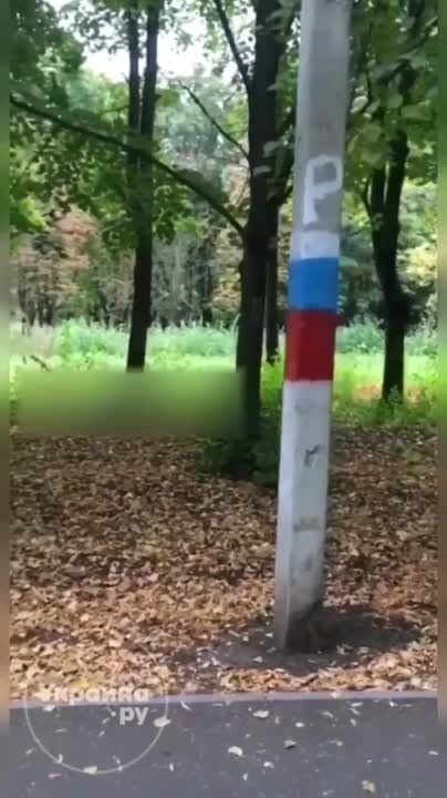 � �������� ��������� �����