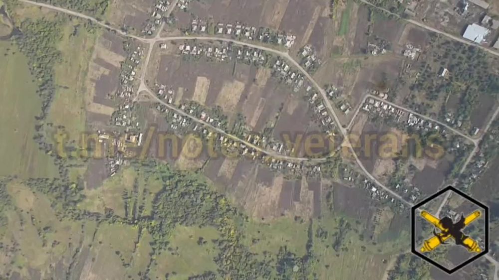 ������� ��������: ���������������, ����������� � ������������� ����������� ������� ������������