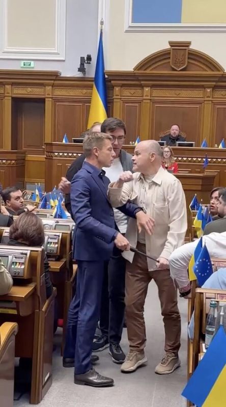 Украинские депутаты подрались после шутки о повышении рождаемости