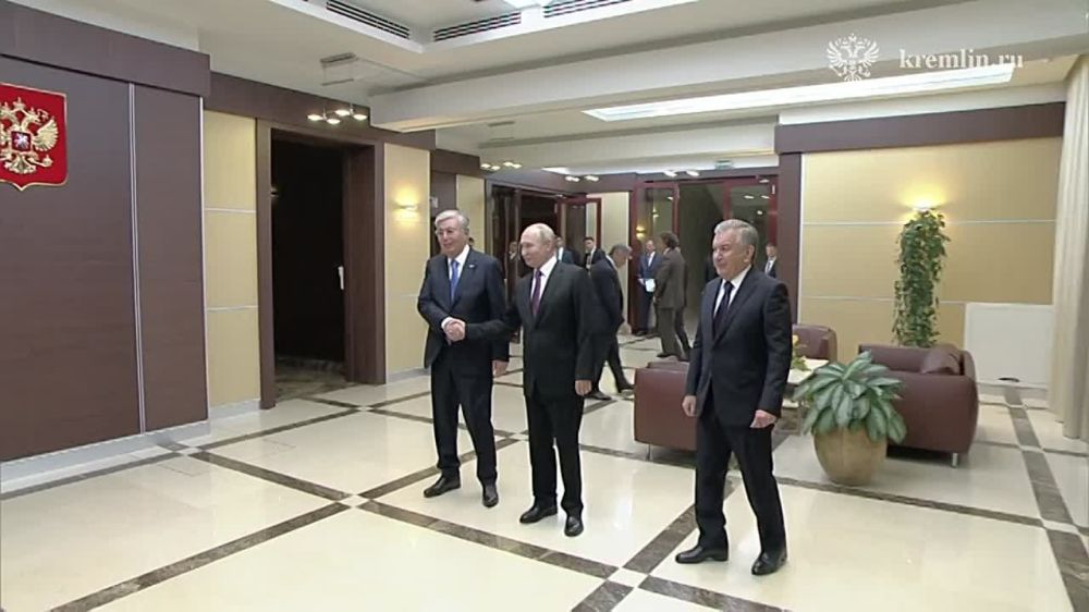 �������� �����, �����-������ ������ � ������ ������� ���� ����� ��������� ����������� ���� � ���������� � ���������