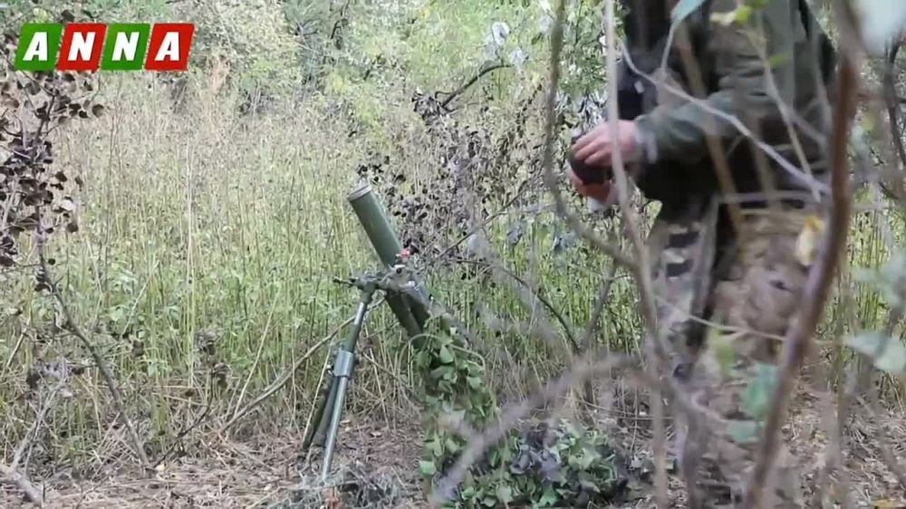 ���������� 1-� ����������� �������� ����� ��� �������� � ���������� ���������� �� ��������� �����������