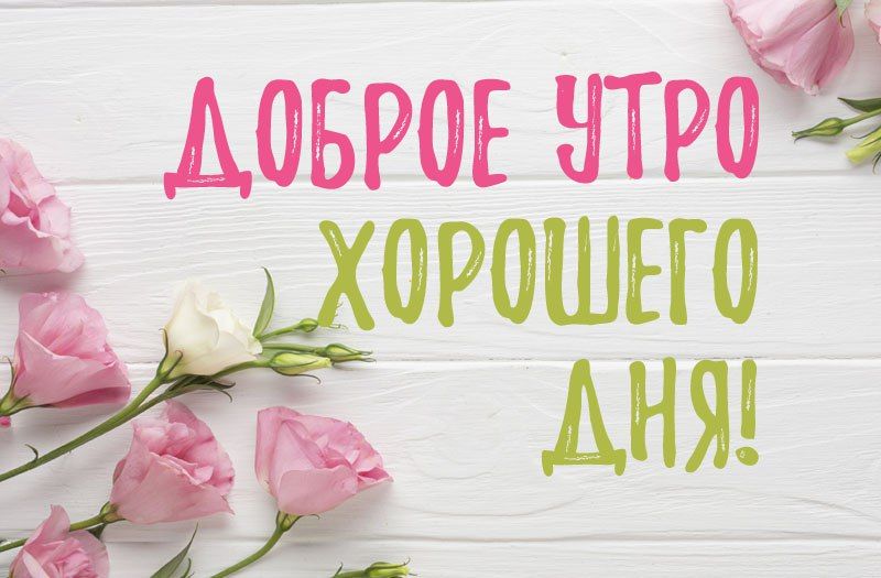 � ������ �����!. ������ � �������� �� �������