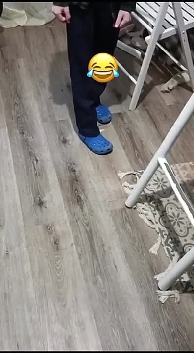 ������������ �� �������: