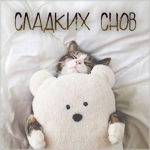 Доброй ночи, Дорогие подписчики!