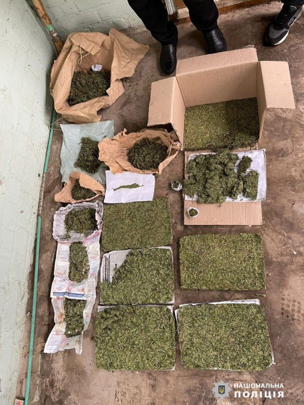 � ��� ����������: ������ � �������� ���������?