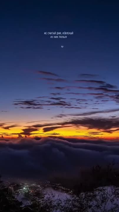 Доброй ночи, Дорогие подписчики!