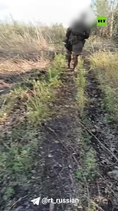 ��������� � ���������. ������� �***�, �***�!!!� ����������� ����������� ��� � ���������� ������� �� ��������� �����������