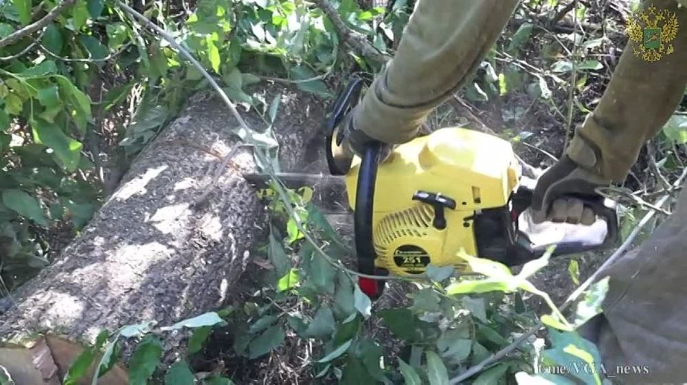 ������������ ������� ���������� � ������������� ������ ������������ �� ����������� �������