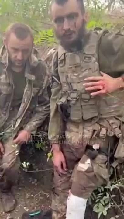 ������ � ���� ���������, �������� ������ ����� ���������� �� ��������� �����������