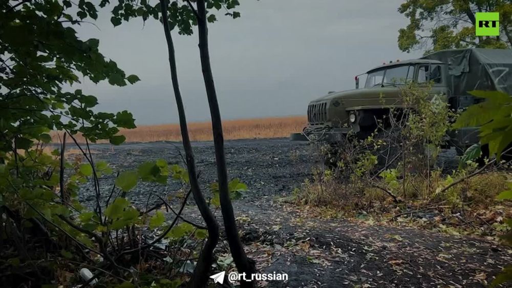 �� ��������� ����������� ����������� �������� ���������� 1-� �������� �����