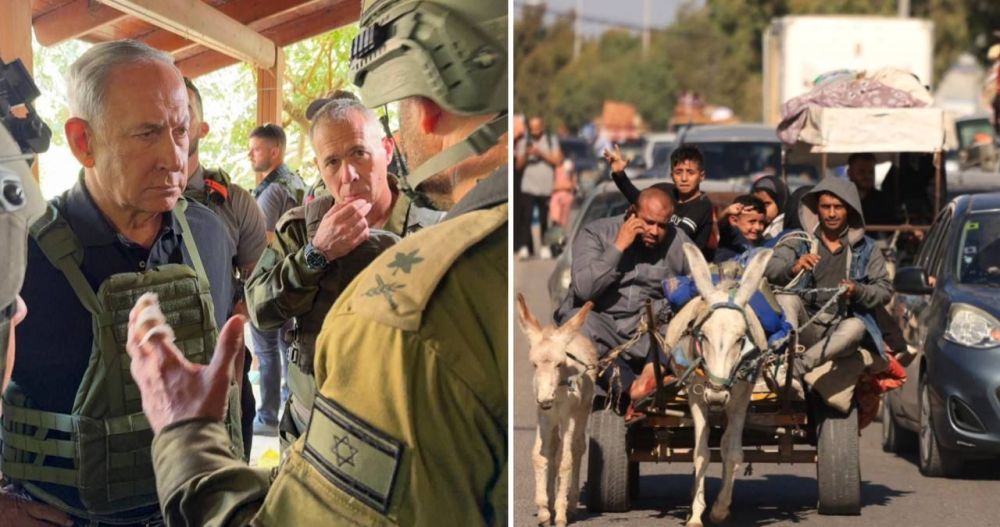 14 �������:. � ��������� ������� ������ ����� ������� ������� � ����������� ����������� ����� �������� � ������� ����. �...