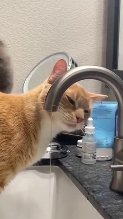 � ������ �����! ��������� ���!