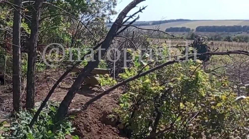 ���������� 6 ����� ������� �������� ������� ����� ���������� � �������� ��� � ������� �����