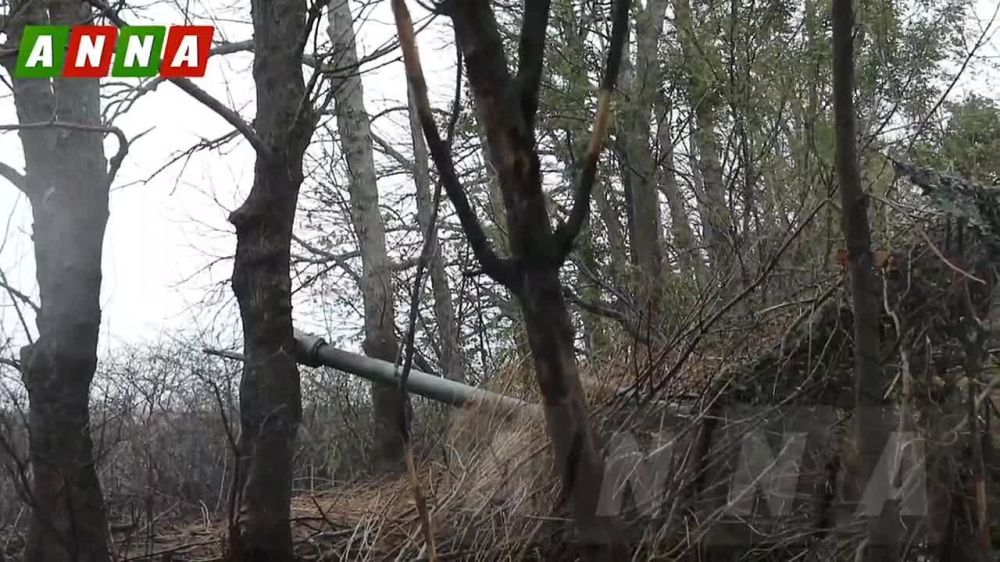 Российские военные успешно отражают все атаки ВСУ на Купянском направлении