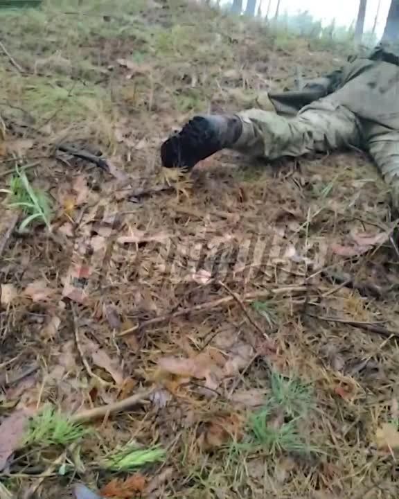 ��**��, �����!� � ����� �������� ������ ����� ������������ �� ��������� ��� � ����������� �������