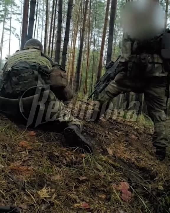 Кадры работы наших спецназовцев по вражеской ДРГ в Харьковской области