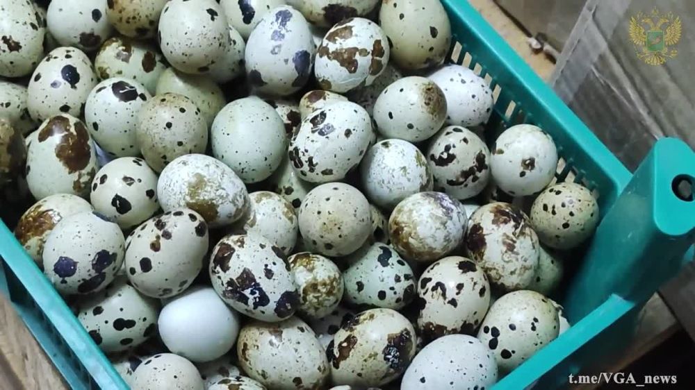 ���������� ��� ����������� ������� ������� �������� ��� ���, ����� ���������� ������� ������� ���������� �������