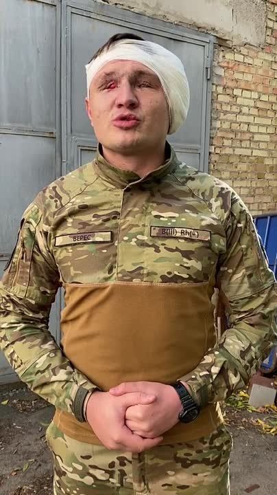 "Жалкое зрелище... Душераздирающее зрелище... Кошмар..."