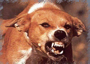 �������� � ��������� ��������� � ����������� ������� ���������� ��� ���������